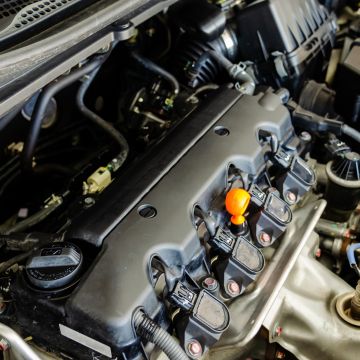 Vitrificação do motor